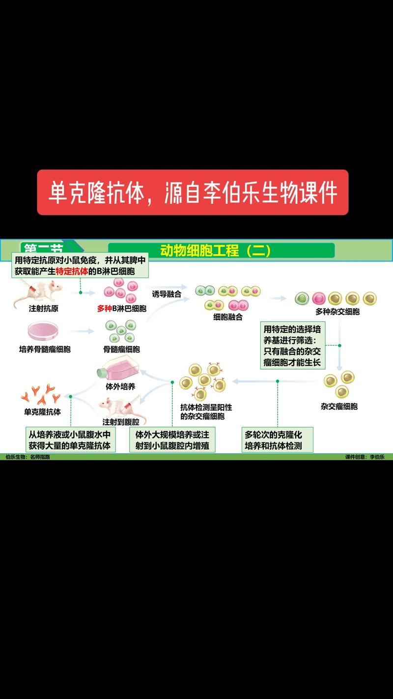基因工程：生命科学的革新之钥