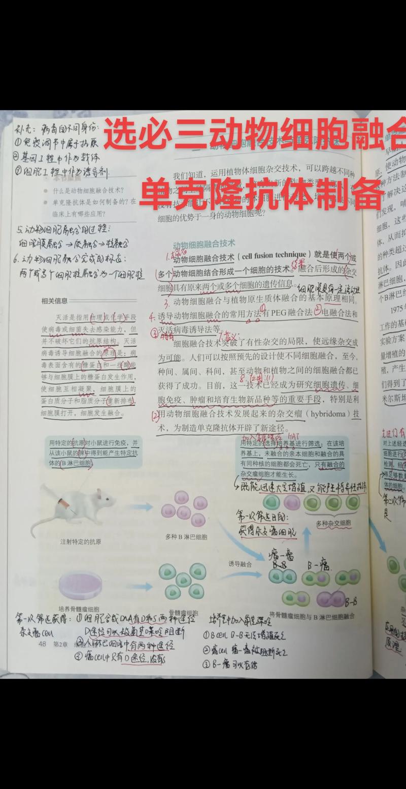 生物技术外包
